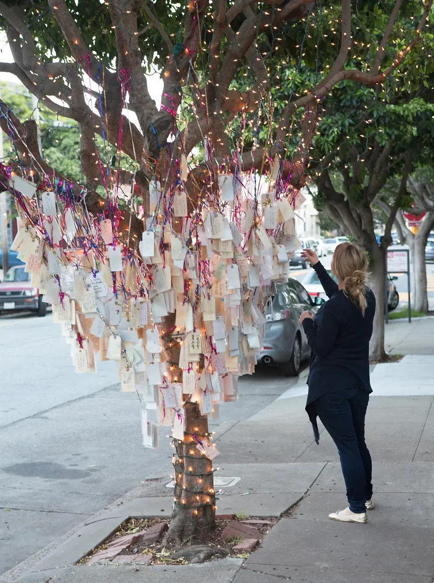 "The Wishing Tree"
Pathways through Lent
24-03-13